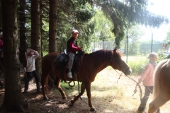 img(51)
