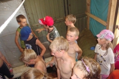 img(518)