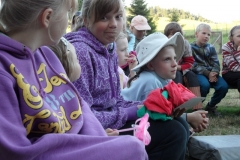img(528)