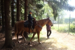 img(53)