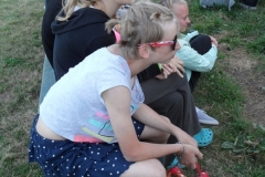img(530)