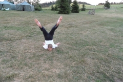 img(560)