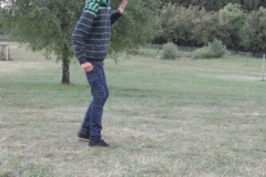 img(561)