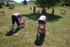 img(567)