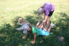 img(572)