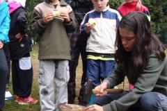 img(614)