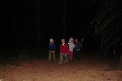 img(625)