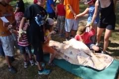 img(658)