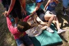 img(659)