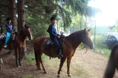 img(69)
