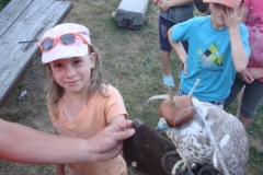 img(695)
