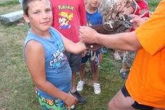 img(705)