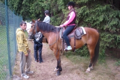 img(85)