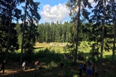 adam 2019 (31)