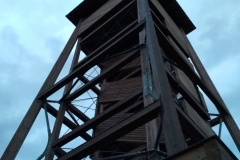 adam 2019 (38)