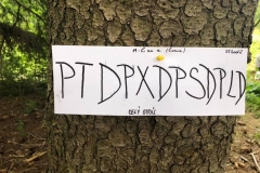 adam 2019 (436)