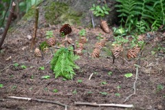 DSC_0188-scaled