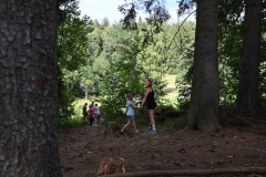 DSC_0231-scaled