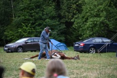 DSC_0575-scaled