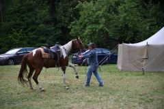 DSC_0589-scaled