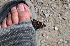 DSC_9633-scaled