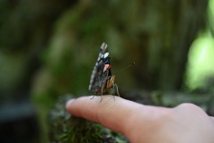 DSC_9635-scaled
