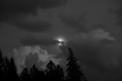 DSC_5349